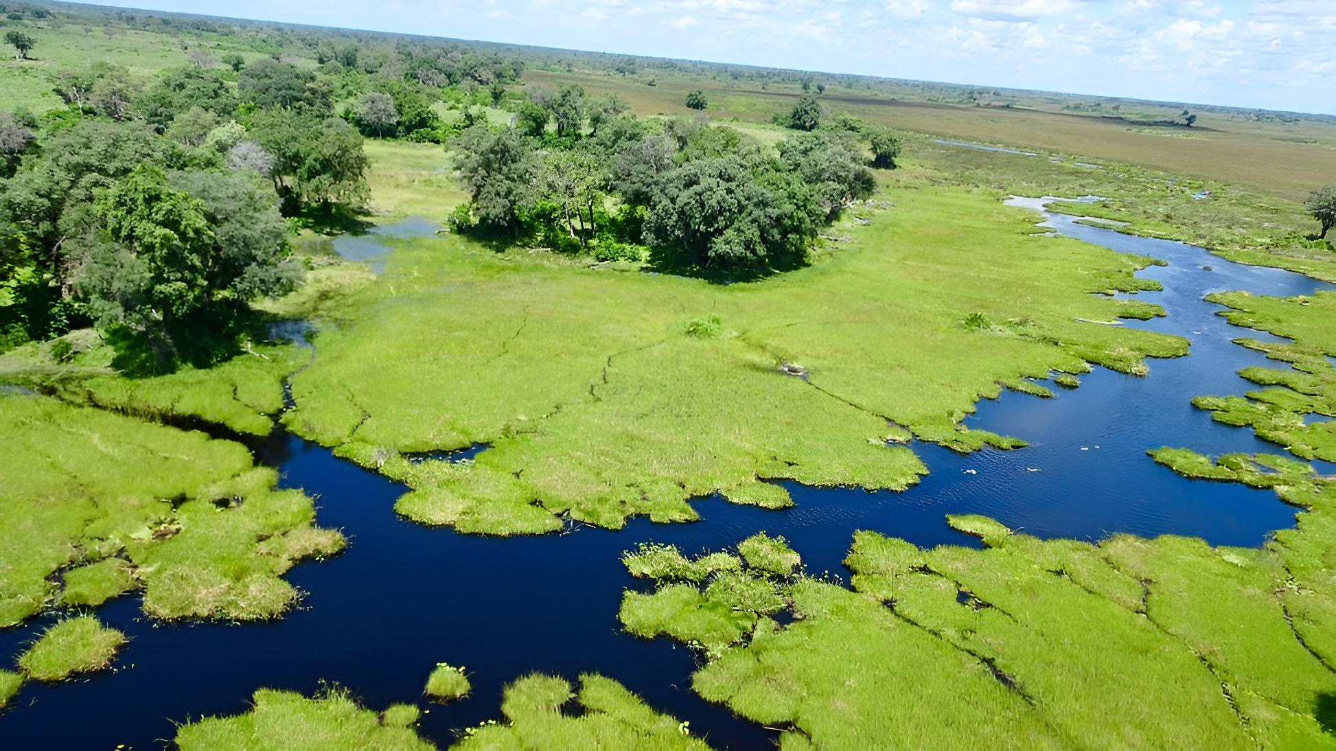 okavongo-delta from Trip Advisor