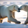 Polar bears playing with each other as envisioned by AI